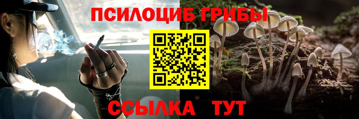 Муром  Псилоцибиновые грибы Psilocybe  Галлюциногенные грибы Psilocybine cubensis  Вход с VPN 